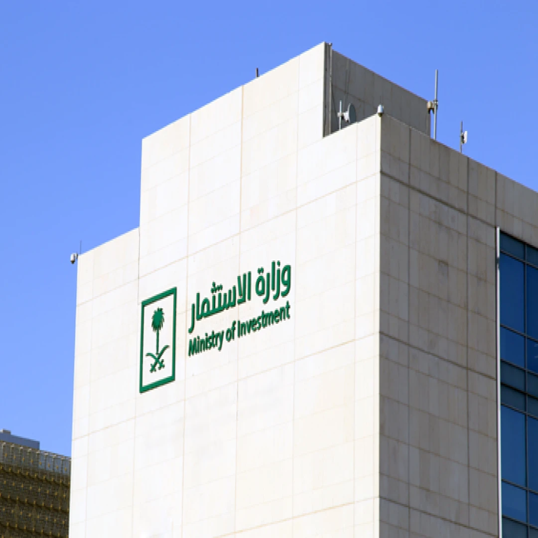 وزارة الإستثمار
